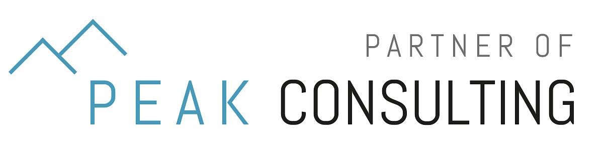 PEAK Consulting Partner
